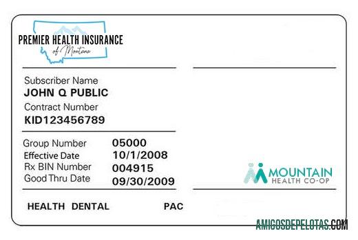 Cartão de seguro saúde de Montana exemplo real